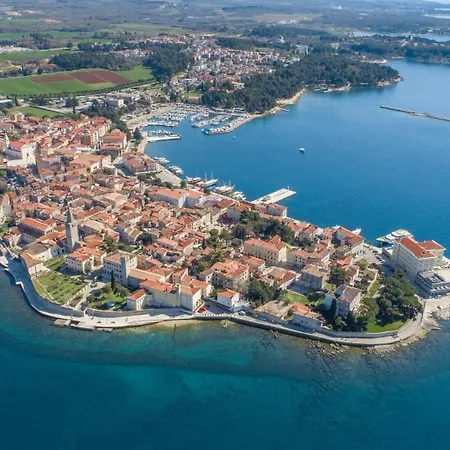 Orchis * Porec